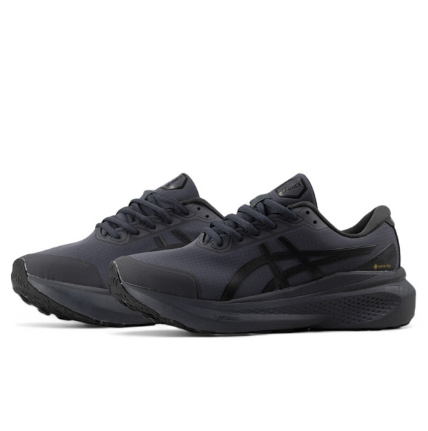 Asics Gel Kayano 30 Gore-Tex Grey
