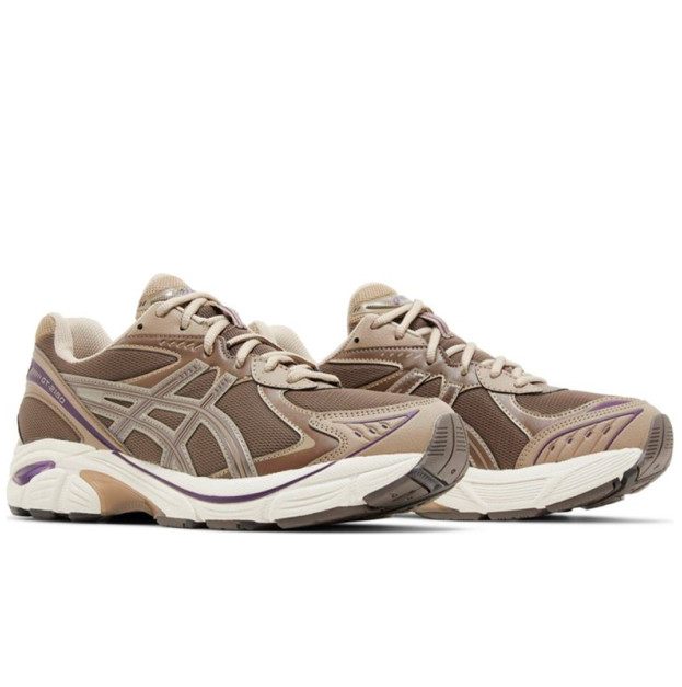 Asics GT 2160 Dark Taupe Purple 1203A320-251
